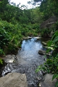 Ravine St-Gilles Walk  'Bassin des Aigrettes' (3)